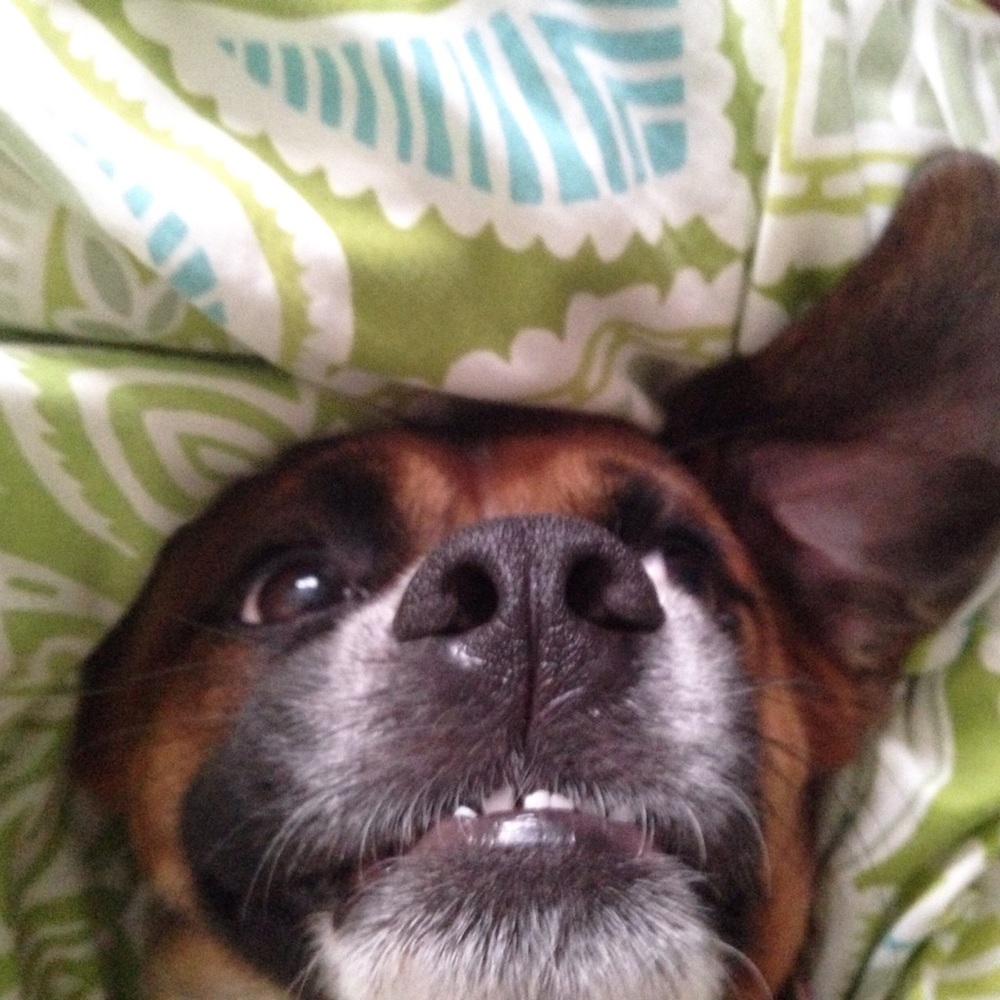 Meet your Posher, Christy